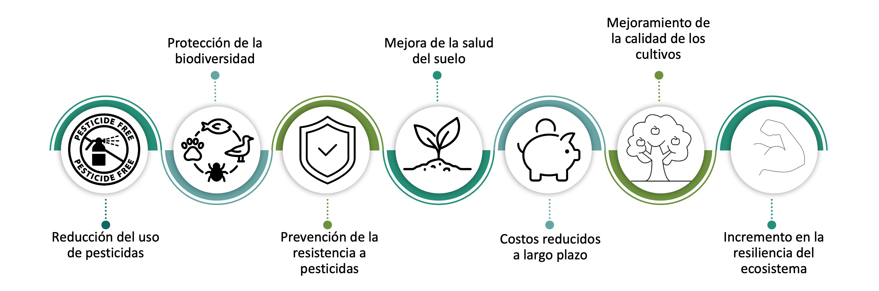 La importancia de la fauna auxiliar en la agricultura ecológica